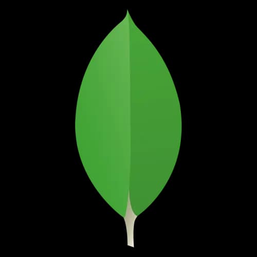 MongoDB